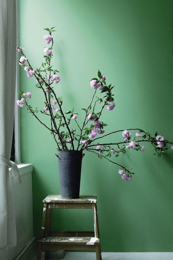 Calming Green Walls Home Decor | Must-Have Bins