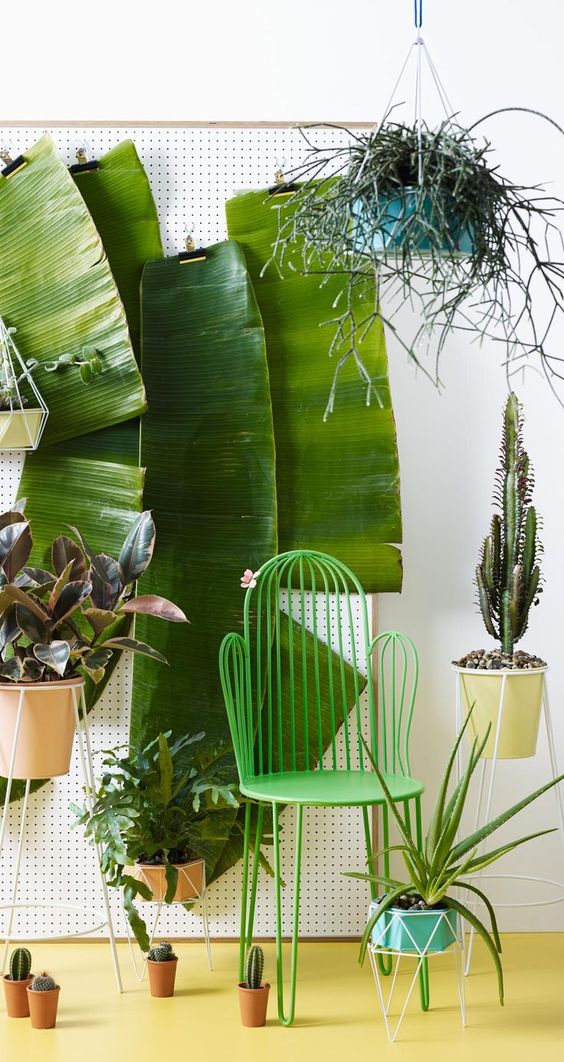 Tropical Home Decor | Must-Have Bins